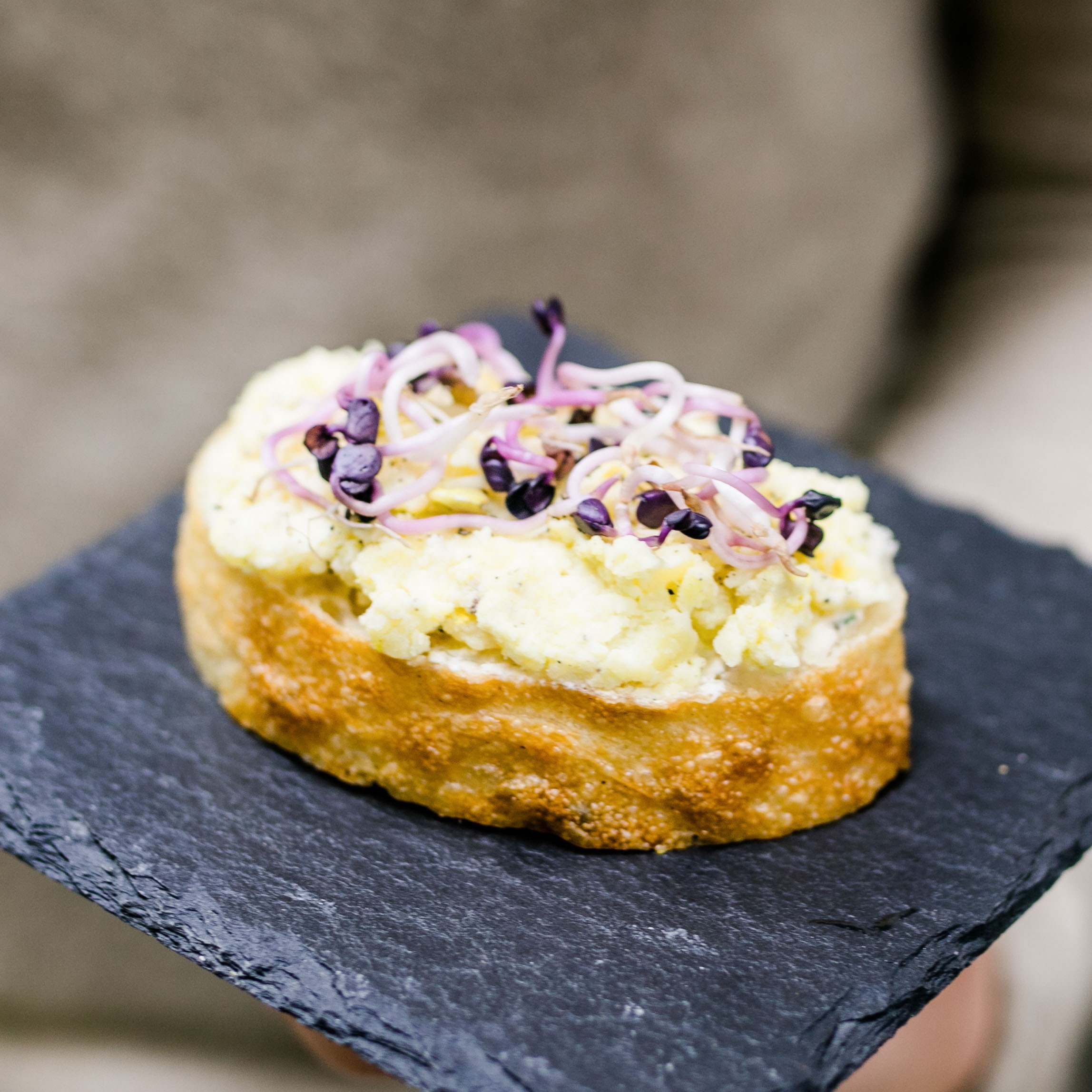 Erdäpfelkäse Brötchen mit Sprossen