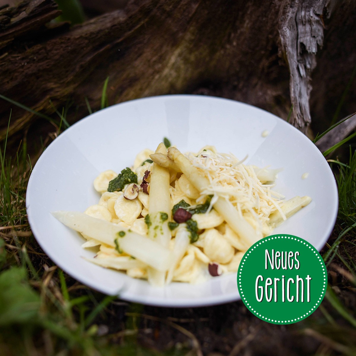 Orecchiette mit weißem Spargel und Basilikum-Pesto