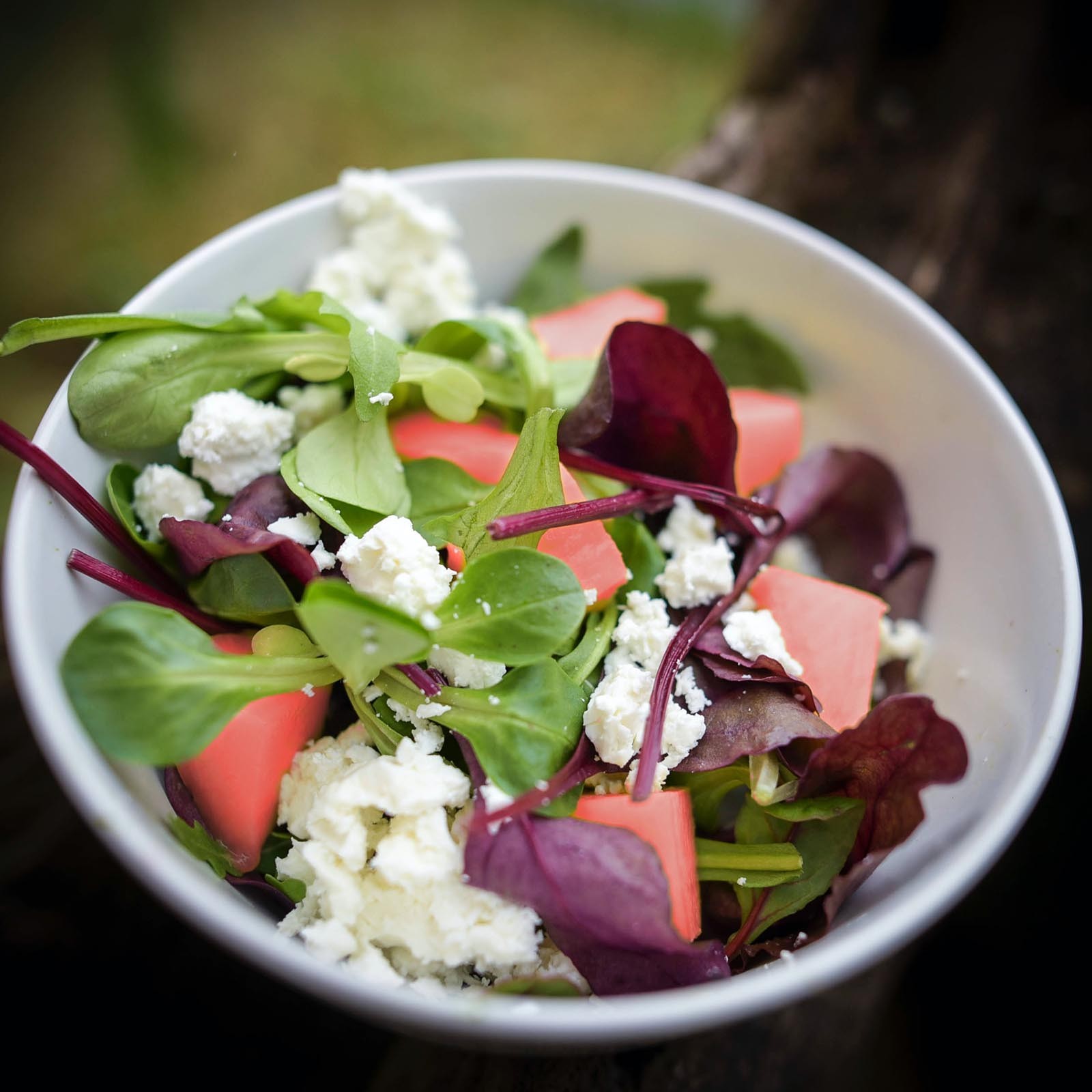 Pflücksalat mit Wassermelone und Feta