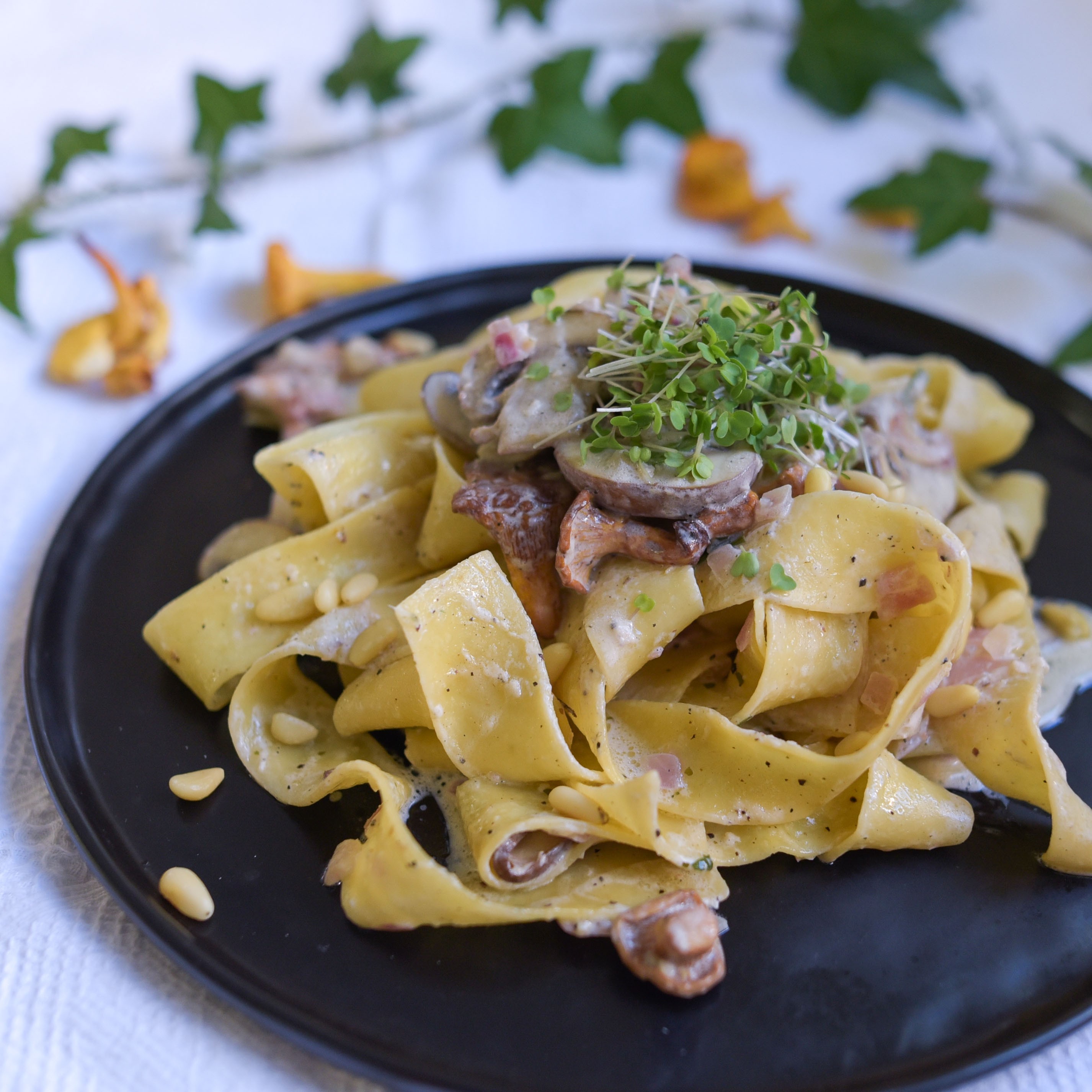 Tagliatelle mit Pilz-Sauce, frischen Kräutern und geriebenen Parmesan